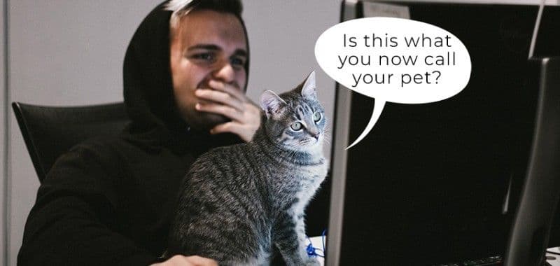 pet project це