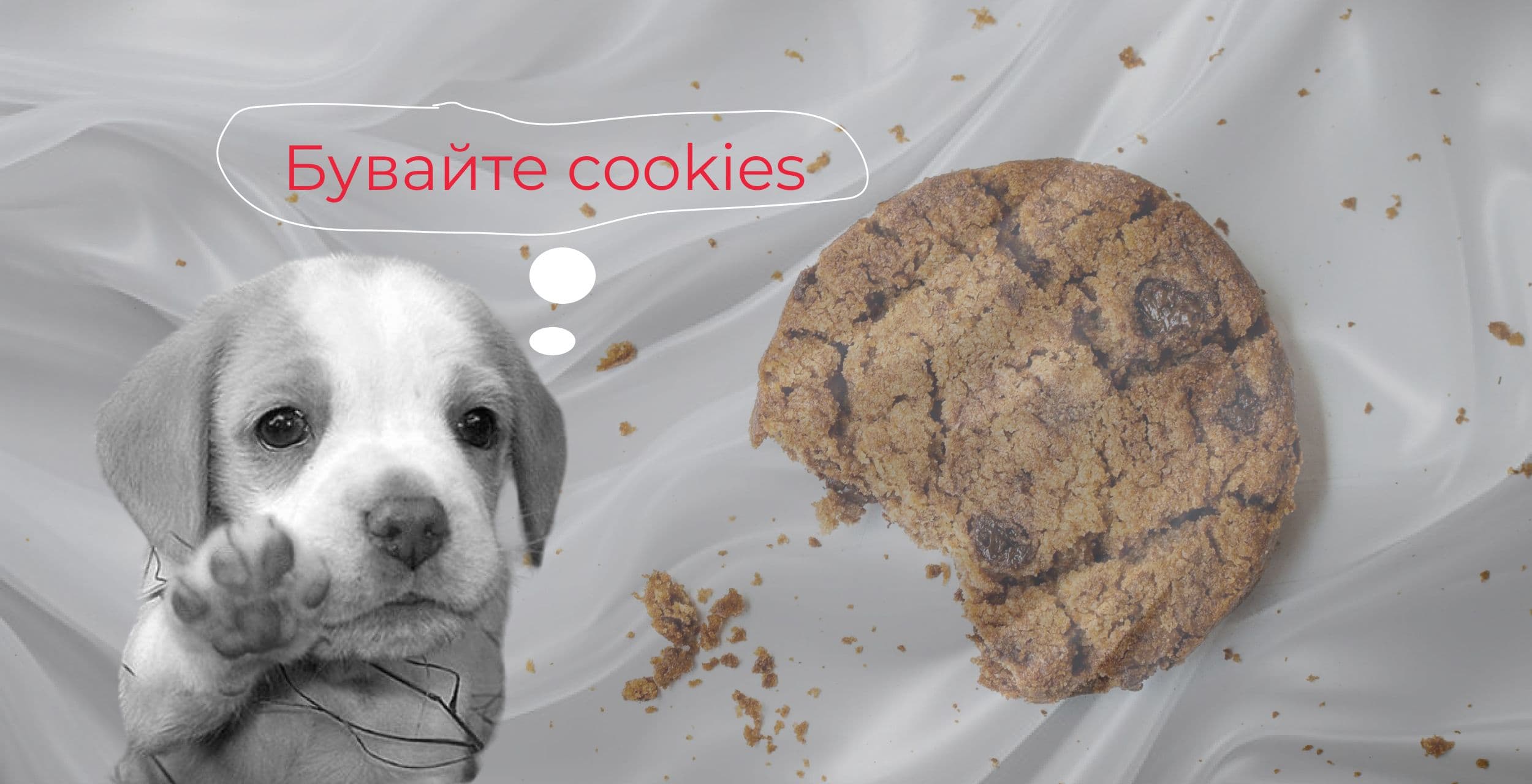 Відмова Google від cookies 2024