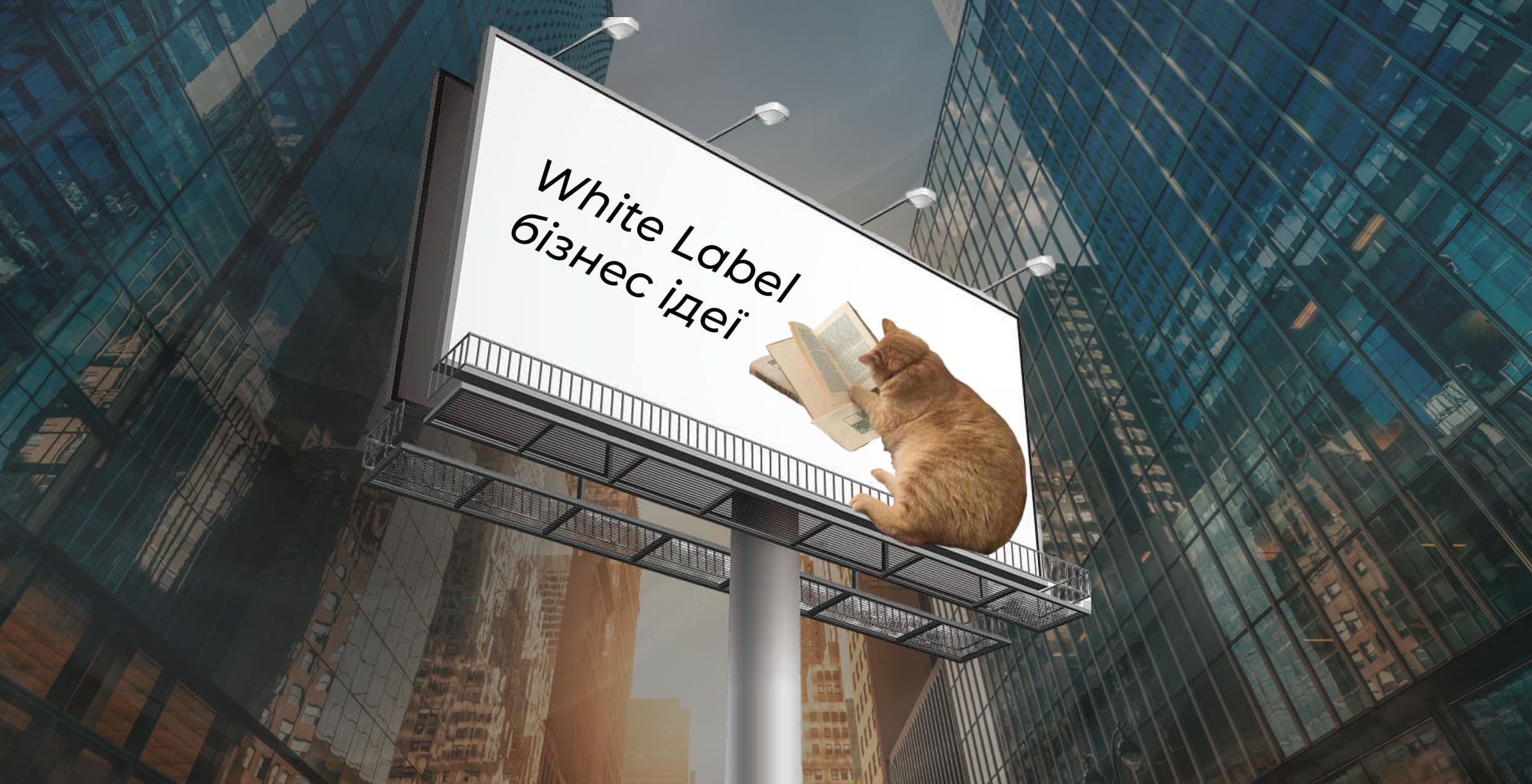 Відкриття white label бізнесу 2024: переваги та стратегія