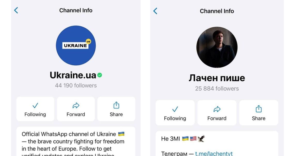 воц ап розвиток каналів